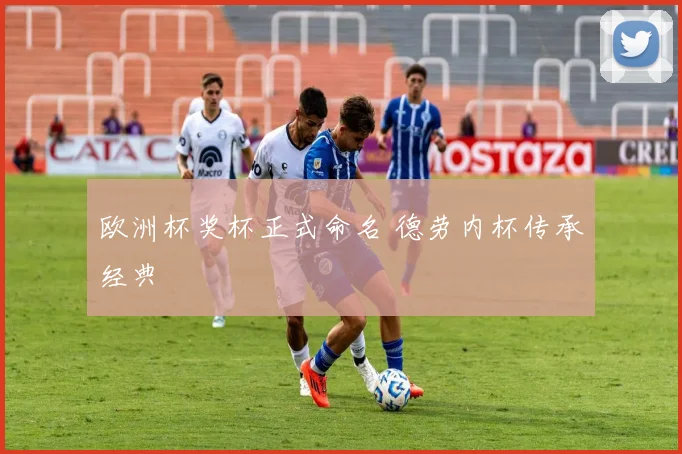 欧洲杯奖杯正式命名 德劳内杯传承经典