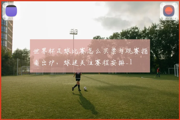 世界杯足球比赛怎么买票与观赛指南出炉,球迷关注赛程安排_1