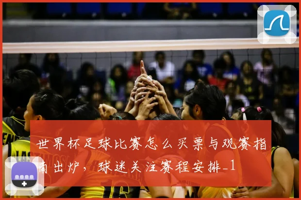 世界杯足球比赛怎么买票与观赛指南出炉,球迷关注赛程安排_1