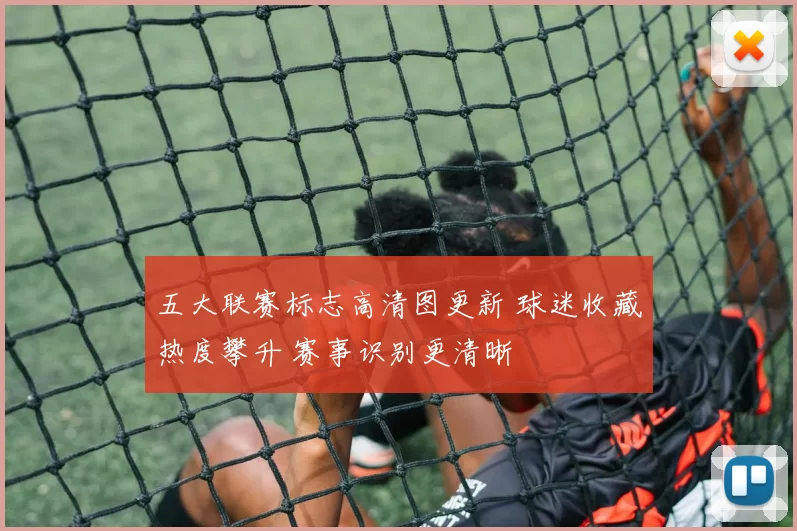五大联赛标志高清图更新 球迷收藏热度攀升 赛事识别更清晰