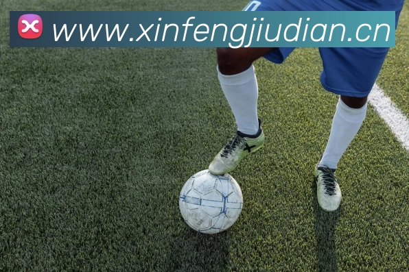 乐鱼网页版官网入口品牌故事