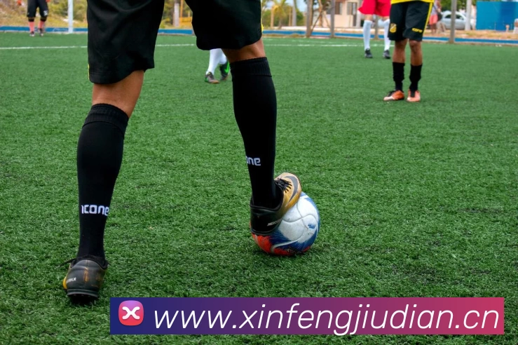 乐鱼网页版官网入口APP 体育赛事宣传图